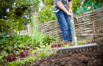 5 Gardening Hacks for the Fall