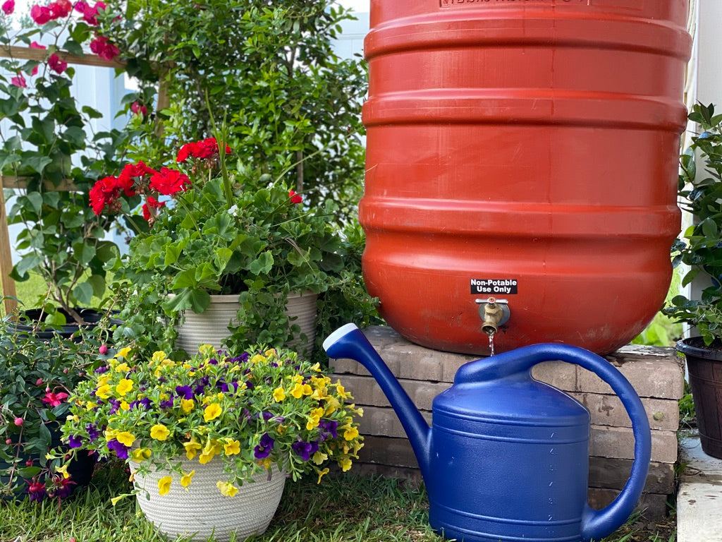 Harvesting Gratitude: How Epoch Rain Barrels Connect Us to Nature's Generosity